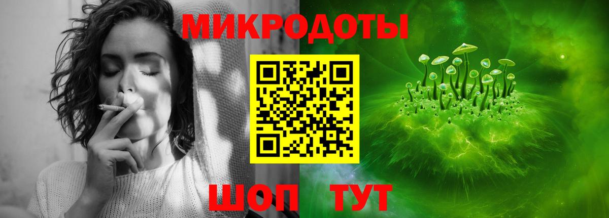 Псилоцибиновые грибы Psilocybe Учалы